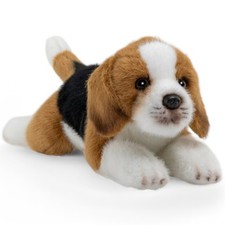 Carl Dick Beagle environ 20