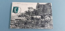 PORNICHET LA POINTE DU VIEUX LA RECOLTE DU GOEMON COW BICYCLE STAMP 1911