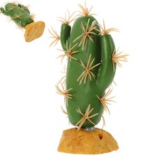 Décoration Terrarium