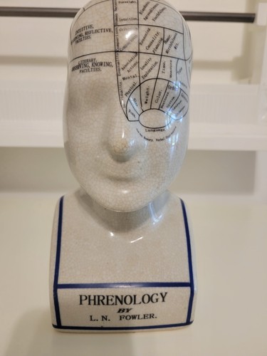 Fowler phrenology head - l.,