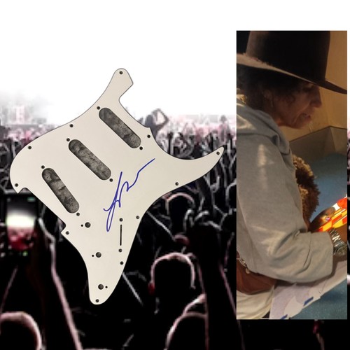 Gfa non blondes groupe - gfa,