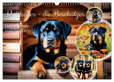 Rottweiler - les protecteurs (Calendrier mural 2026 DIN A3 horizontal), CALVENDO