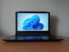 Acer Predator Helios 300 PH317