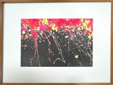 Walasse Ting Lithograph Fireworks 1974 Large Artwork Signed Print Club Issued