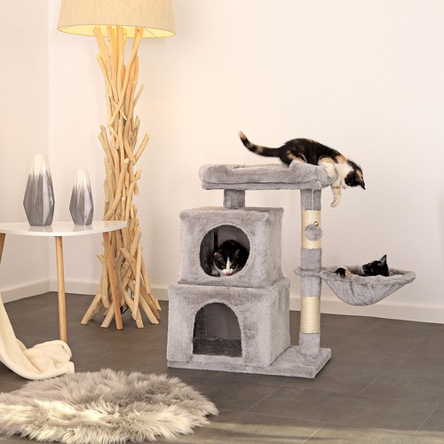 Lionto arbre chat - chat, à