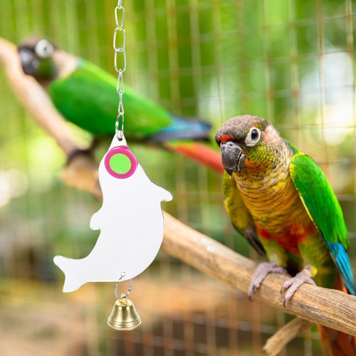 Accessoires pour cages - pour, À