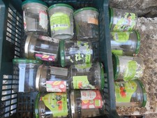 lot 14 empty jars for jam style good mom to clean