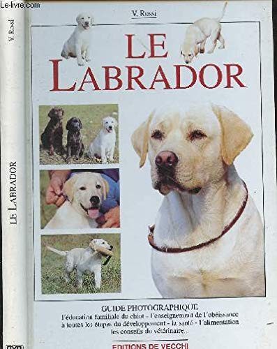 Labrador rossi valeria - rossi,,
