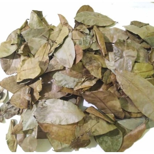 Feuilles corossol séchées - feuilles, de