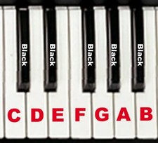 Roland XP-30 XP-50 XP-60 XP-80 JV-80 Replacement Key