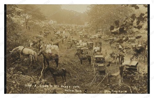 Hollow rock ohio buggy - ohio,