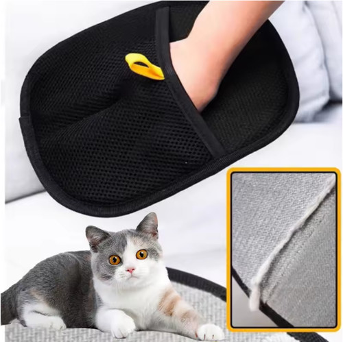 Gants anti poils chien - gants, chat