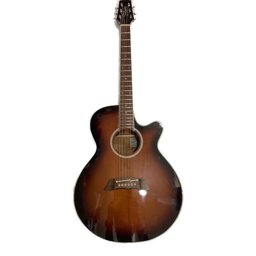 Guitare électrique acoustique