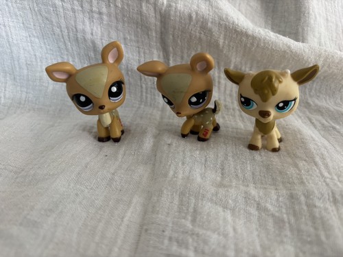 Hasbro lps petshop lot - hasbro,