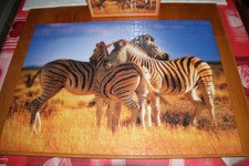Puzzle ZEBRE 1000 pièces 50 X