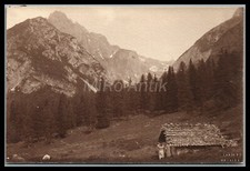 Photo, Inntal/Österr. - Alpe perforée inférieure et pointe de canne à brochet...