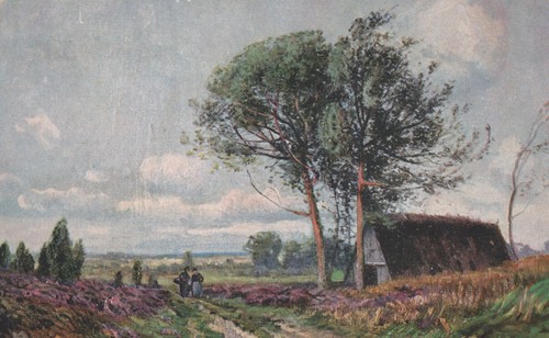 Ancienne carte postale paysage - postale,