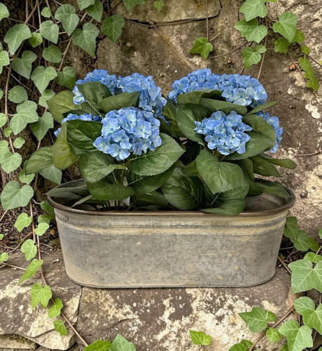 Coffre fleurs fer forgé - de,