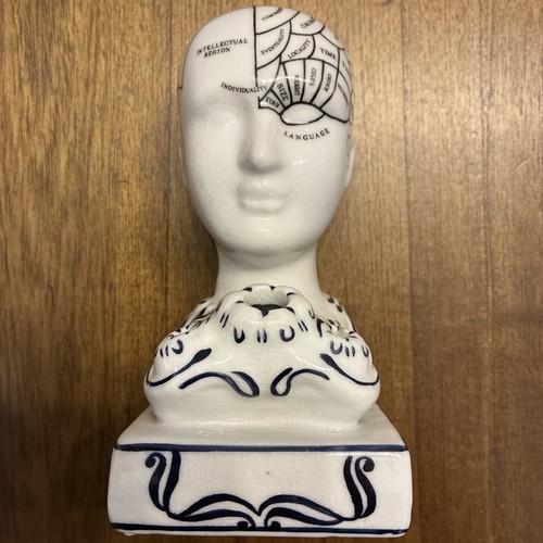 Authentic models phrenology - models,
