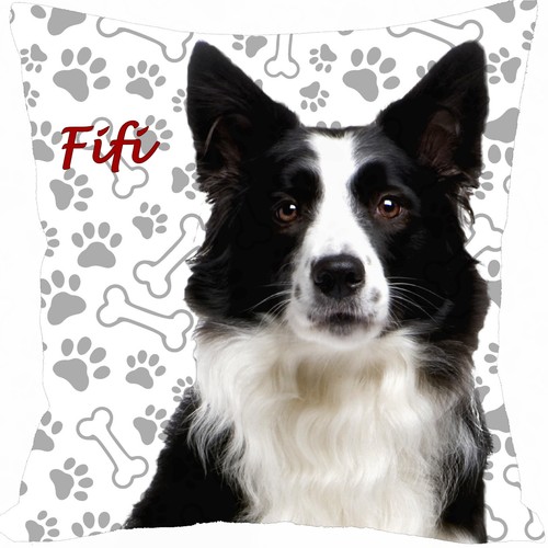 Coussin chien border collie - coussin,