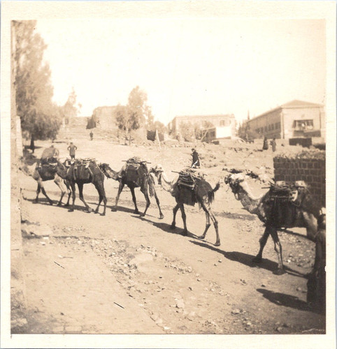 Palestine tibériade une - tibériade,,