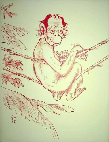 Caricature georges bastia - georges,