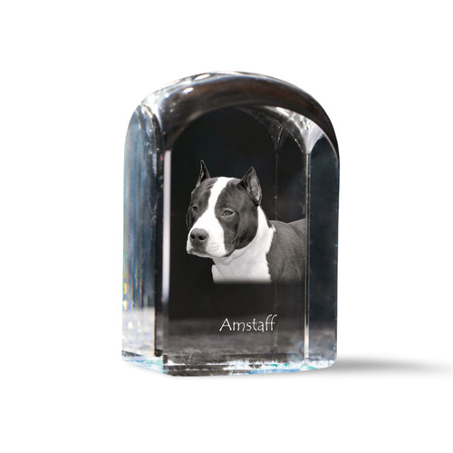 American staffordshire - american,