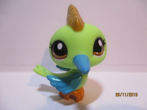 Petshop oiseau pivert - petshop, n°2279