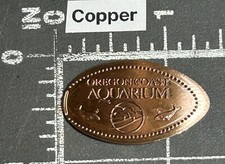 Oregon Coast Aquarium Baleines