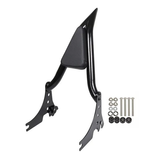 Black sissy bar - bar, passenger