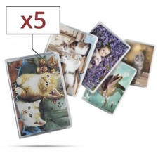 porte-cartes de crédit ou