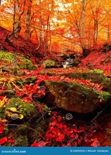 Clarinette métal  A VENIR