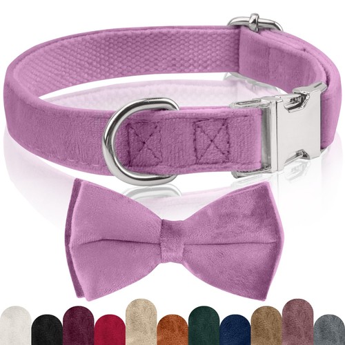 Collier chien velours - collier, velours,