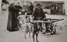 Carte Postale Attelage à Chien Le Marchand De Poisson Châteaulin Bretagne 29