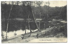 92  BOIS DE MEUDON  ETANG DE VILLEBON