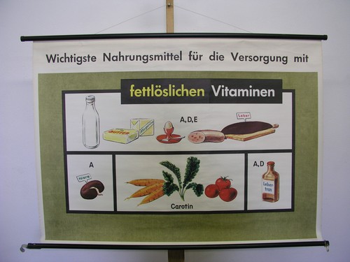 Carte murale scolaire aliments - scolaire,