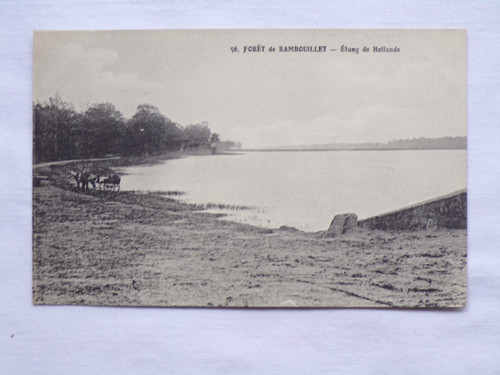 Forêt rambouillet étang - forêt,