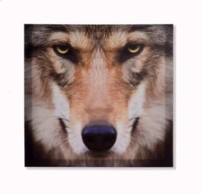 Cadre toile tableau Loup - 40