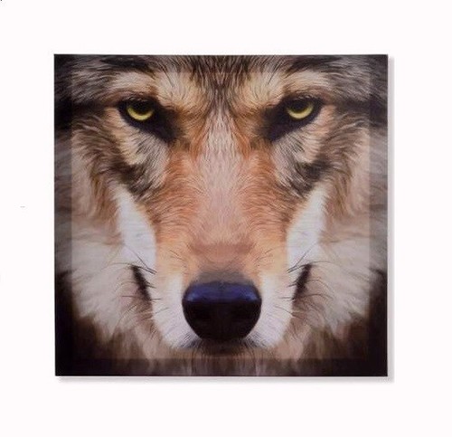 Cadre toile tableau - -, 40