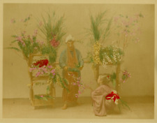 Japan, Florist Vintage Albumen Print.  Watercolor Albumen Print 20x25 