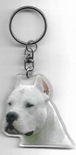 DOGUE ARGENTIN  Porte clés