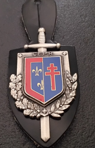 Insigne militaire pucelle ctr - insigne,