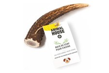 - Cornes de cerf pour Chiens