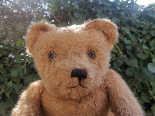 Ours ancien fadap - ,