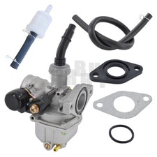 PZ19 Carburetor for Chinese