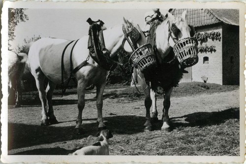 Photo ancienne vintage - ancienne,