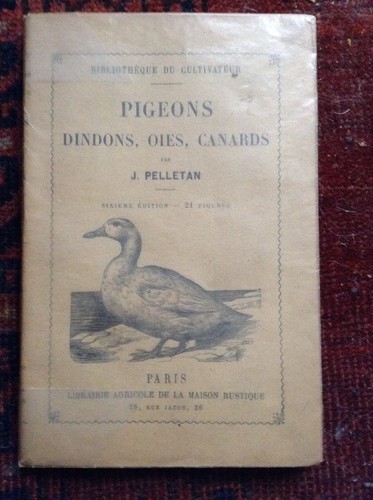 Pelletan pigeons dindons - j.,