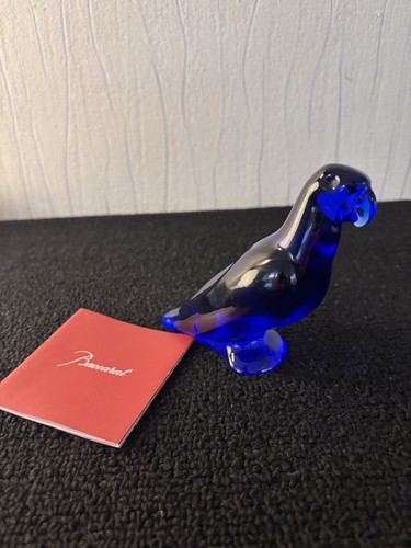 Perruche perroquet bleu - perruche,
