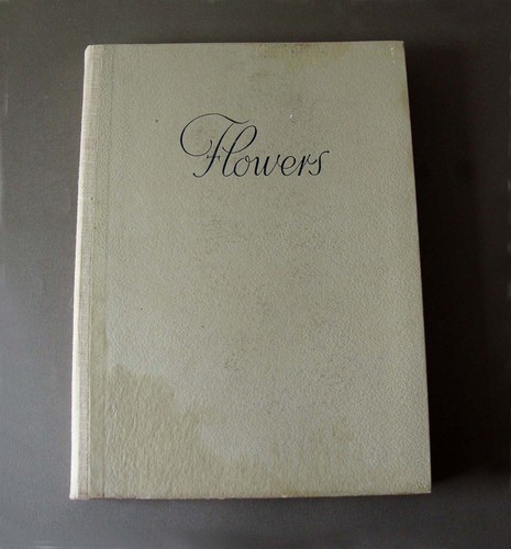 Fleurs plantes grasses - fleurs,