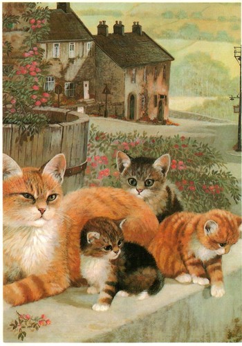 Joli carte postale - , aves